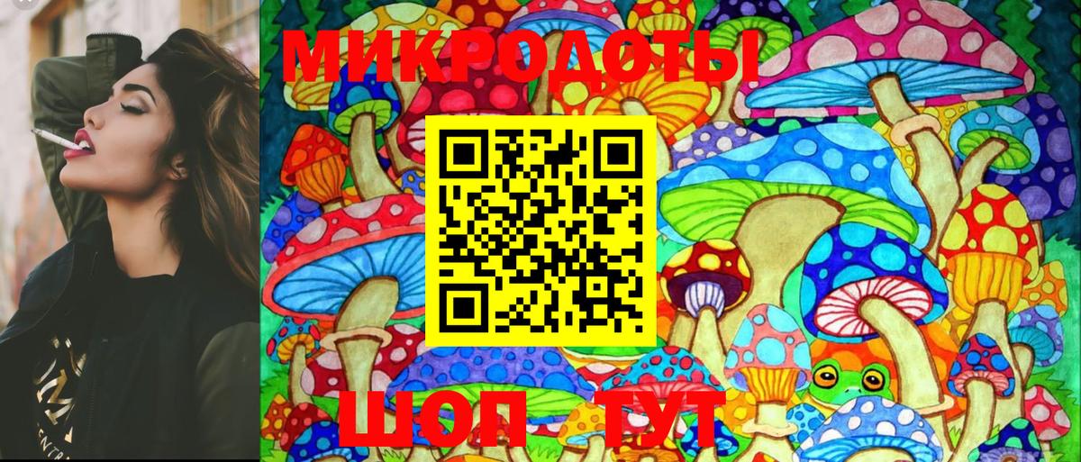 Псилоцибиновые грибы Psilocybe Павлово