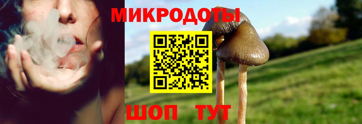 Псилоцибиновые грибы мицелий  Вход с VPN  Галлюциногенные грибы Cubensis  Павлово 